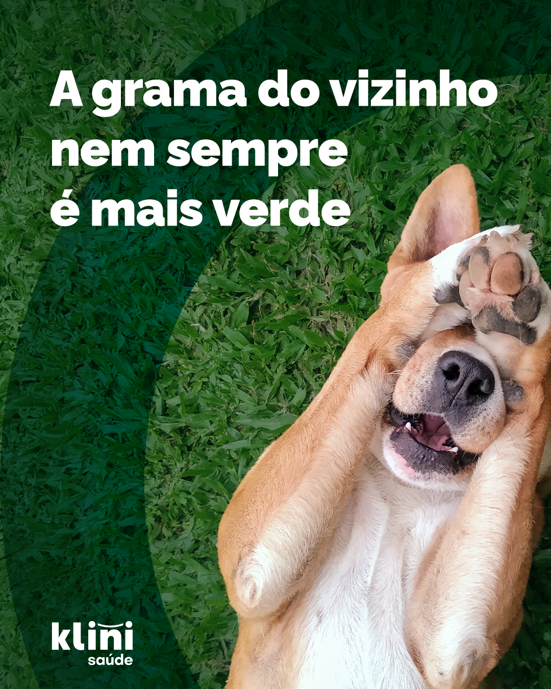 Postfólio 1 — 150425
