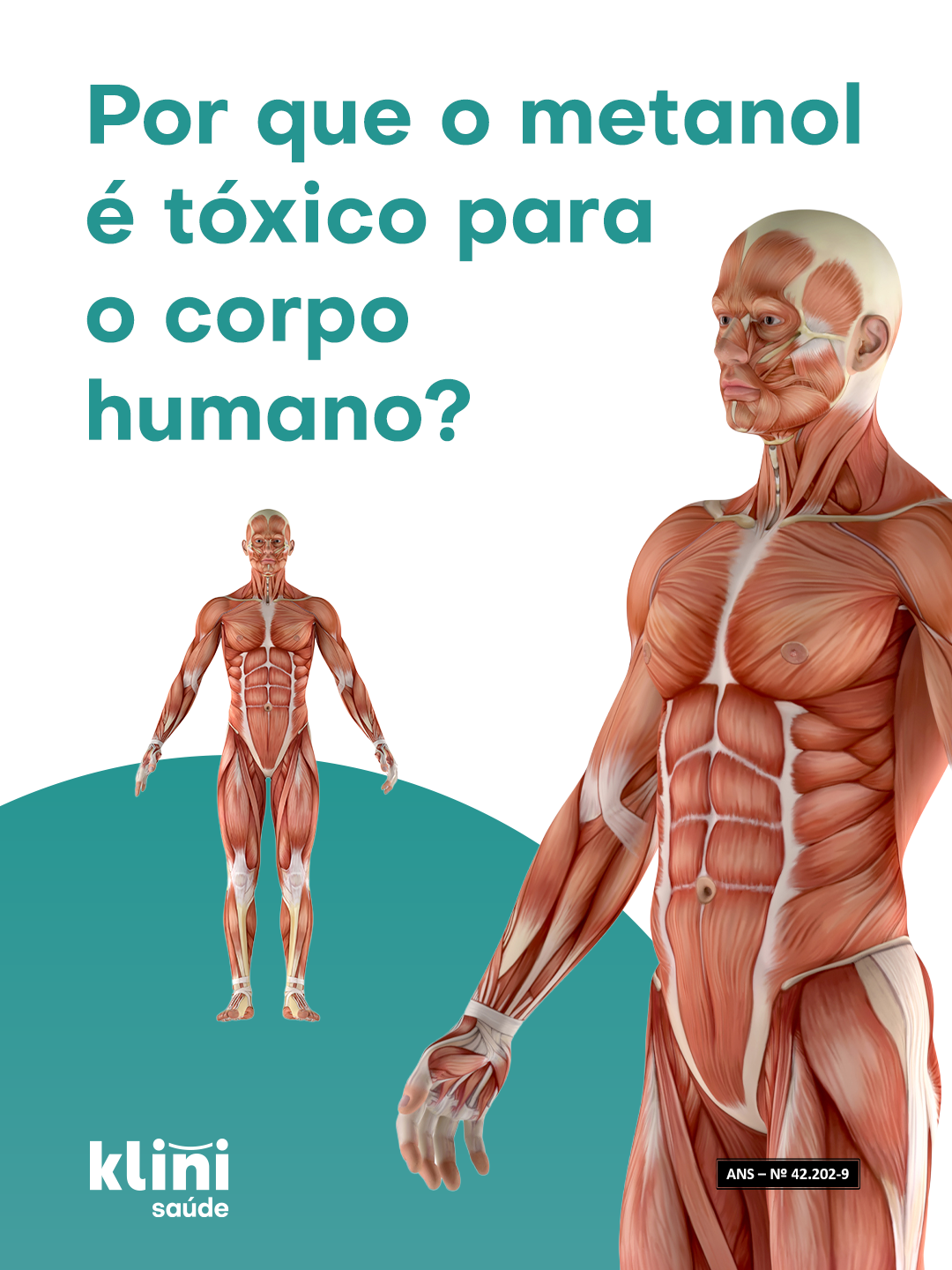 Postfólio 1 — Metanol