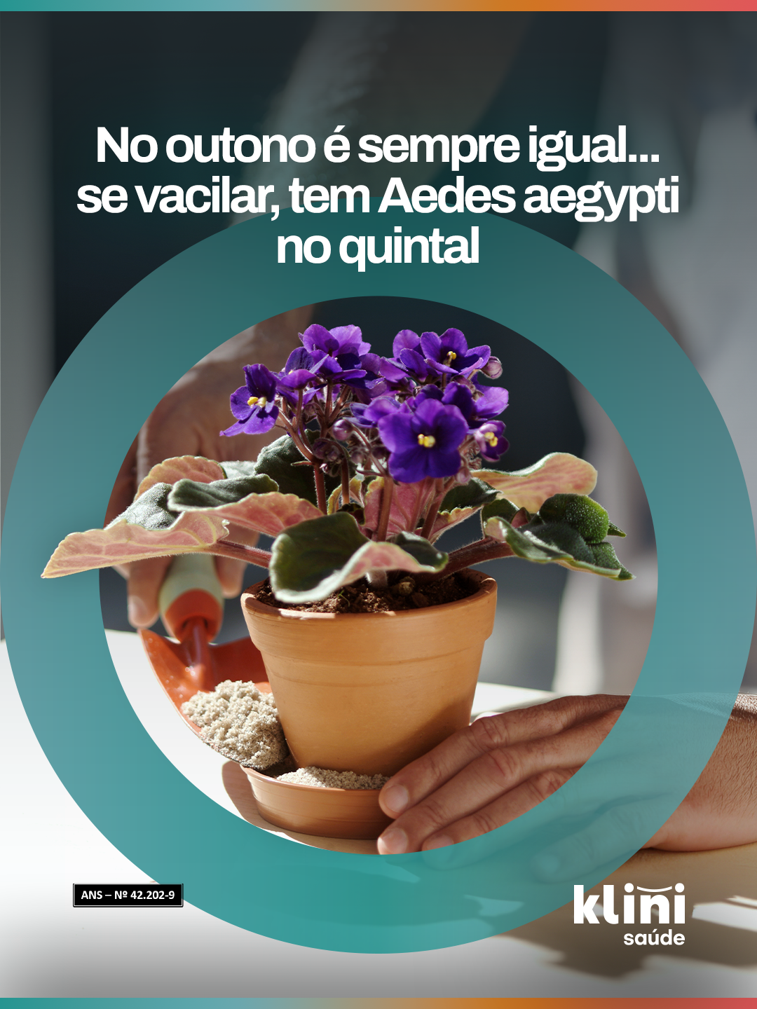 Postfólio 1 — IG 200325